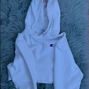 cropped champion hoodie
